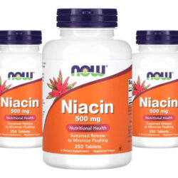 Niacina 500mg Now Foods Niacin Vitamina B-3 250 Tablets 3un