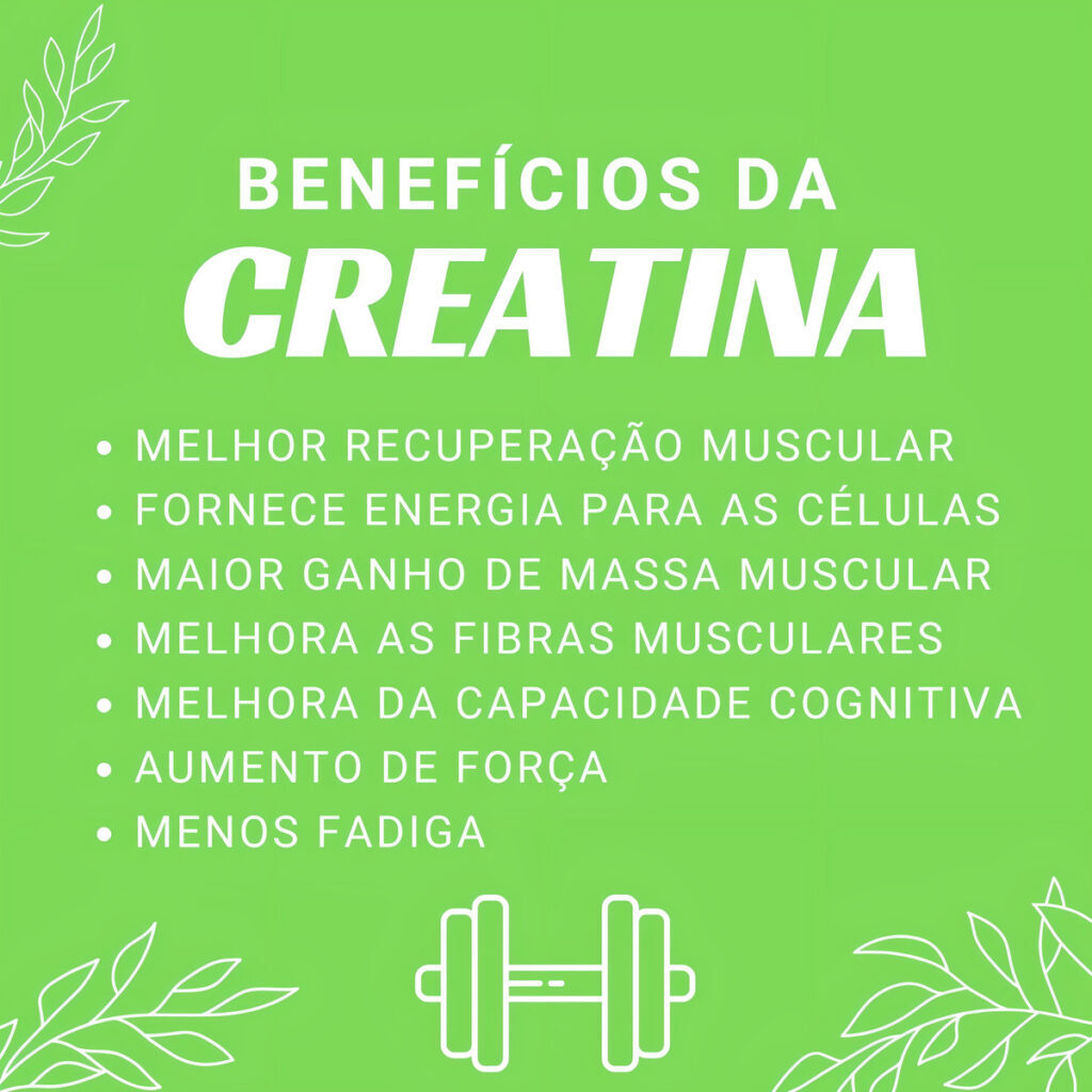 Creatina Monohidrata Creatinemonohydrate Micronized 500g Now - Imagem 4