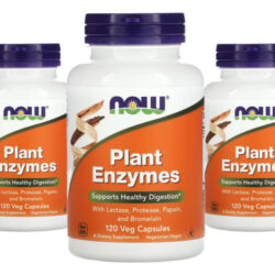 Enzimas Digestivas Now Foods Plant Enzymes 120 Veg Caps 5un Sabor Without Flavor