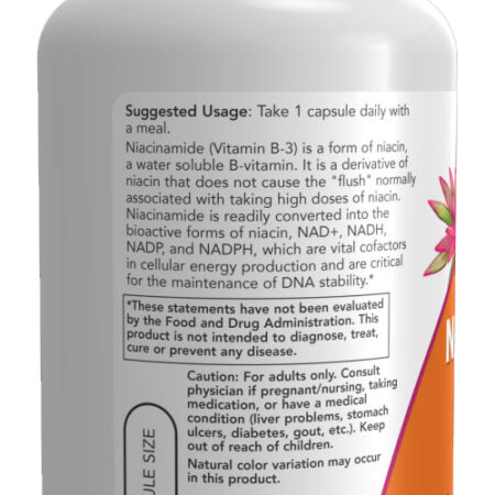 Niacinamida Vit B-3 500mg Now Foods Niacinamide 100 Veg Caps - Imagem 3