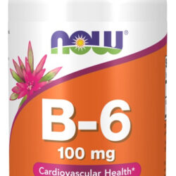 Vitamina B6 100 Mg 100 Cápsulas Da Now Foods Sem Sabor