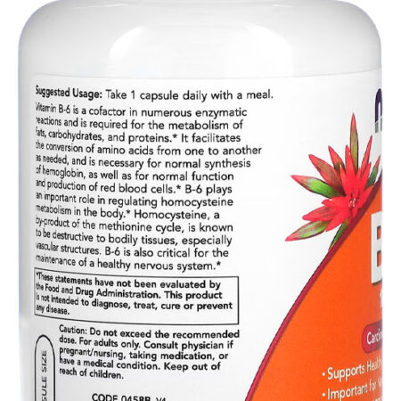 Vitamina B-6 100mg 250 Cáps Importado 5un Now Foods - Imagem 3
