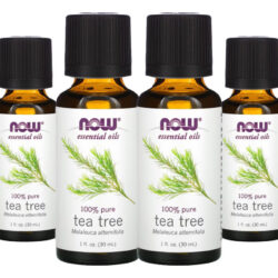 Óleo Essencial Melaleuca Tea Tree 30ml Now Foods 100% 4un