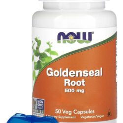 Raiz De Goldenseal 500mg Now Foods 50 Caps + Porta Cápsulas