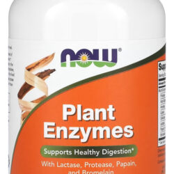Plant Enzimas Now Foods Enzymes 240 Cápsulas Importado