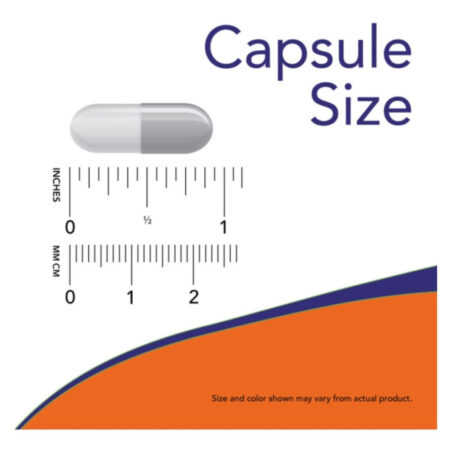 Acetil (l-carnitina) 500mg Now 50 Cápsulas - Imagem 4
