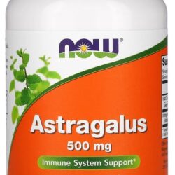 Astragalus 500mg Now Foods 100 Veg Cápsulas Importado Eua