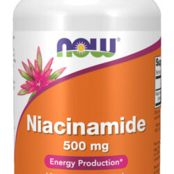 Niacinamida Vit B-3 500mg Now Foods Niacinamide 100 Veg Caps