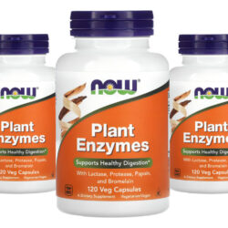 Enzimas Digestivas Now Foods Plant Enzymes 120 Veg Caps 3un Sabor Without Flavor