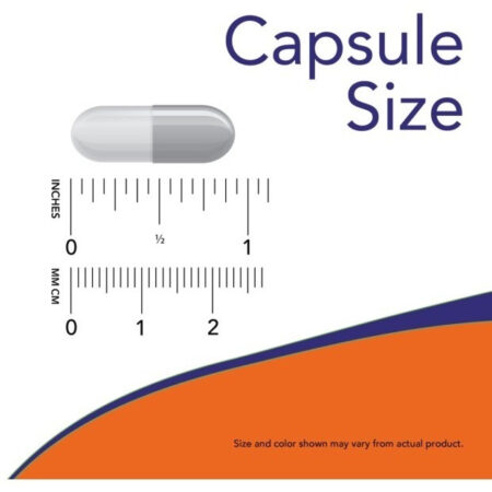 Gaba 500mg 100 Veg Caps Now Foods C/ Vitamina B6 - Imagem 2