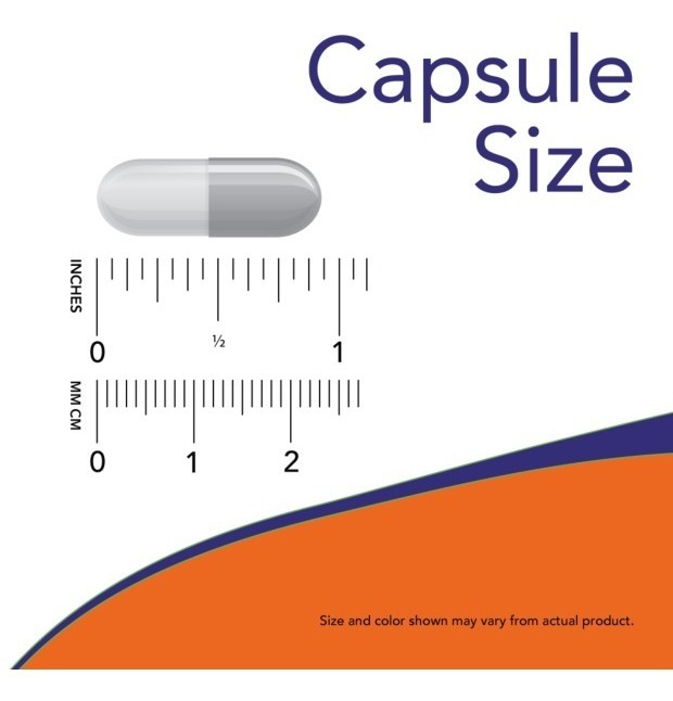 Gaba 500mg 100 Veg Caps Now Foods C/ Vitamina B6 - Imagem 2