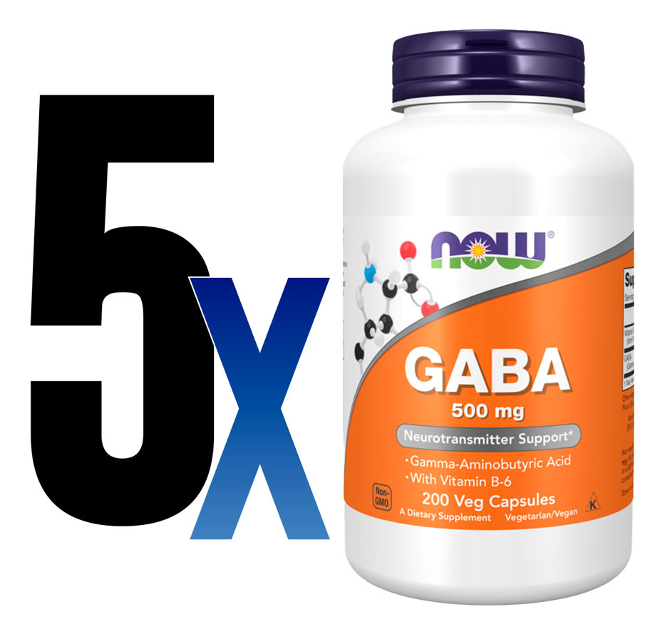 Ácido Gaba 500mg Now Foods Com Vitamina B-6 200 Veg Caps 5un - Imagem 2