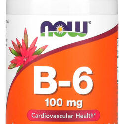 Vitamina B-6 100mg Now Foods 100 Cáps Sabor N/a