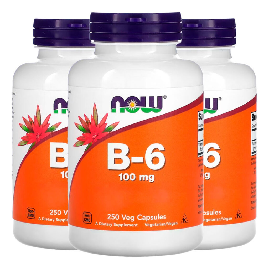 Vitamina B-6 100mg 250 Cáps Importado 3un Now Foods