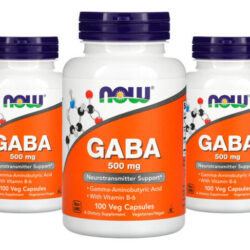 Now Foods Gaba/ácido Gama 500mg E Vitamina B6 100cap Veg 5un Sabor Sem Sabor