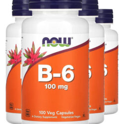 Vitamina B-6 100mg 100 Cáps Importado 4un Now Foods