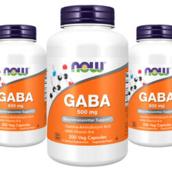 Ácido Gaba 500mg Now Foods Com Vitamina B-6 200 Veg Caps 5un