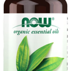 Óleo Canela Cássia Now Foods 30ml Orgânico Importado