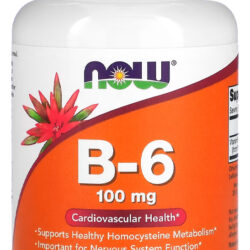 Vitamina B-6 100mg Now Foods 250 Cáps Sabor N/a