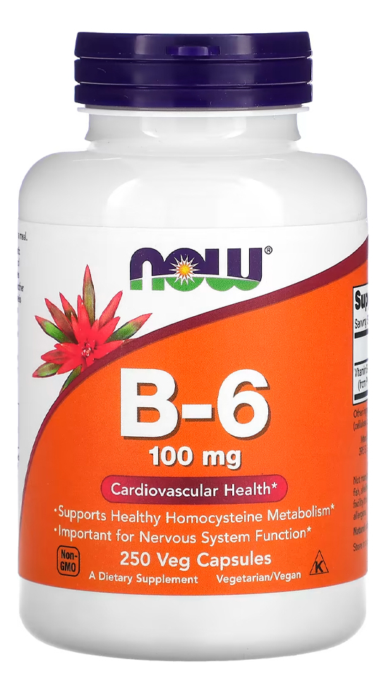 Vitamina B-6 100mg Now Foods 250 Cáps Sabor N/a