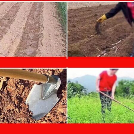 Enxada de Jardinagem em Aço carbono de Alto Desempenho - Imagem 3
