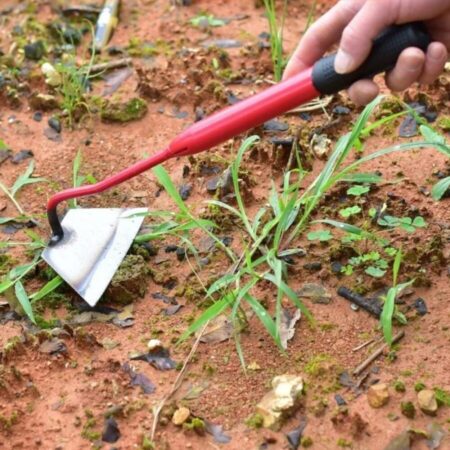Enxada de Mão para Jardinagem | GreenMaster - Imagem 2