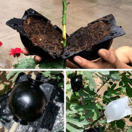 Kit Caixas de Enraizamento para Clonagem de Plantas | Alporquia - Imagem 7