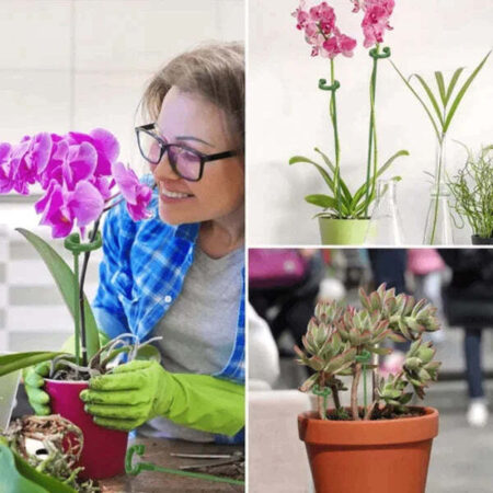Suporte Inteligente Adaptável para Plantas | PlantFlex - Imagem 3