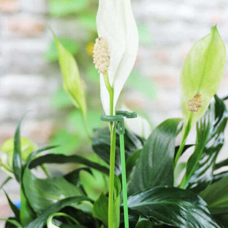 Suporte Inteligente Adaptável para Plantas | PlantFlex - Imagem 7