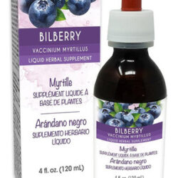 Naturalma Mirtilo Ou Mirtilo Europeu (vaccinium Myrtillus) T