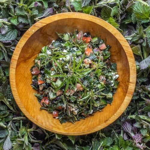 Semente De Urtiga Natural (urtica Dioica) - 250g Qualidade P - Imagem 7