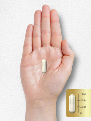 Suplemento Carlyle Acetil L-carnitina Hcl 500 Mg 180 Cápsula - Imagem 8