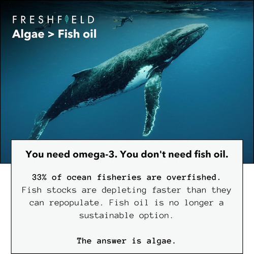 Ômega 3 Que Economiza Oceano, Substituto De Óleo De Peixe, F - Imagem 4
