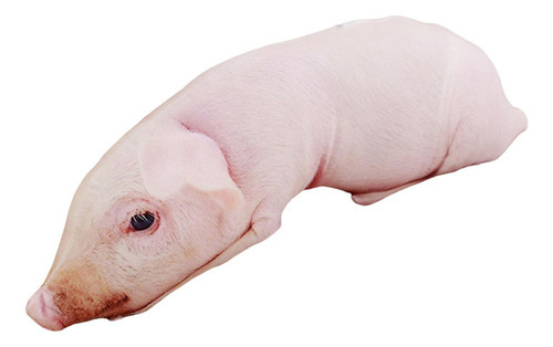 Brinquedo De Boneca De Pelúcia De Animal De Pelúcia Fofo, - Imagem 15