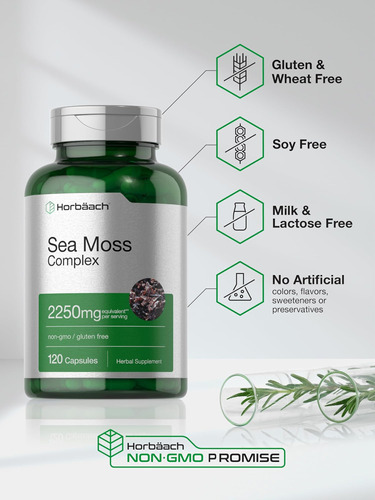 Cápsulas Do Complexo Horbäach Sea Moss | 2250mg | Contagem 1 - Imagem 4