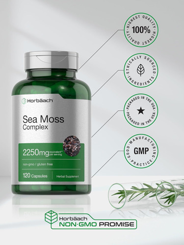 Cápsulas Do Complexo Horbäach Sea Moss | 2250mg | Contagem 1 - Imagem 5