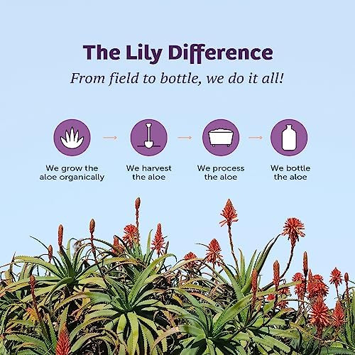 Gel De Aloe Vera Lily Of The Desert, Sem Conservantes - Bebi - Imagem 7