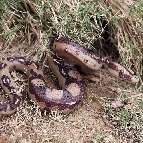. Grande Cobra De Borracha Realista, Brinquedo De Serpente - Imagem 6