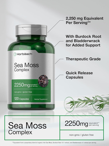 Cápsulas Do Complexo Horbäach Sea Moss | 2250mg | Contagem 1 - Imagem 3