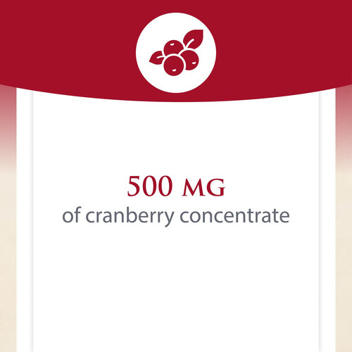 Suplemento Natural Factors Cranrich Cranberry 90 Cápsulas Ge - Imagem 3