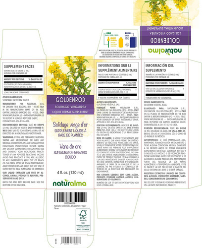 Erva Naturalma Goldenrod (solidago Virgaurea) Com Tintura De - Imagem 2