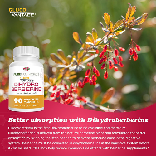 Nootrópicos Puro - Suplemento De Di -hidroberberina (glucova - Imagem 4