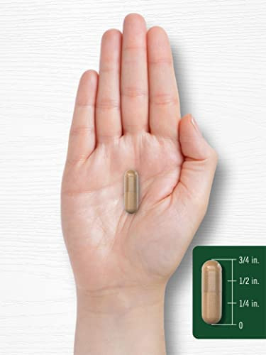 Suplemento Carlyle Vitex Chasteberry | 820mg | 150 Cápsulas - Imagem 5