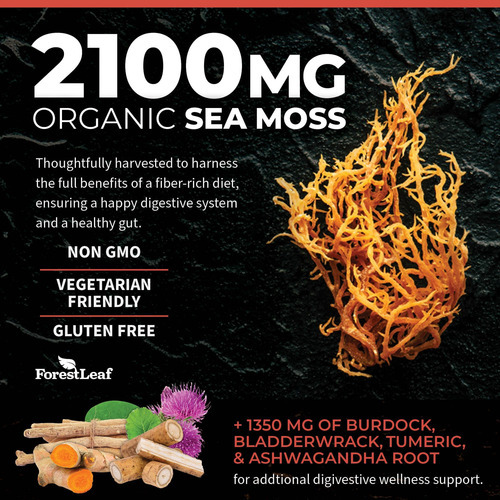 Forestleaf Organic Irish Sea Moss - 2100 Mg Com Bladderwrack - Imagem 4