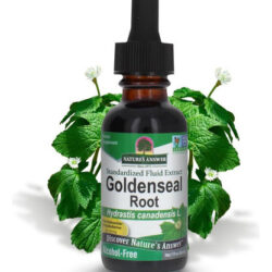 A Natureza Responde À Raiz De Goldenseal | Suplemento De Erv