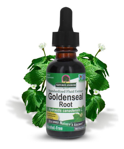 A Natureza Responde À Raiz De Goldenseal | Suplemento De Erv
