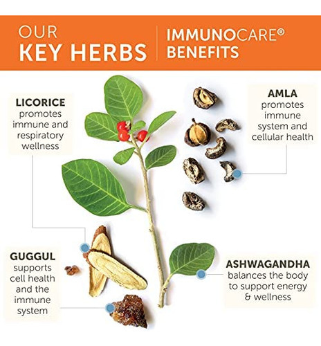 Himalaya Immunocare Para Suporte Imunológico Ativo E Defesa - Imagem 3