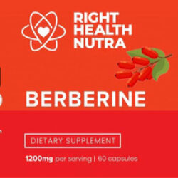 Right Health Nutra - Berberina 1200mg - 60 Cápsulas - Berber