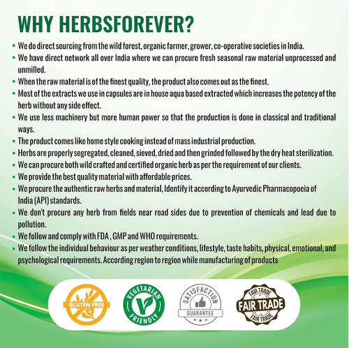 Herbsforever Gurmar Powder - Folhas Em Pó - Gymnema Sylvestr - Imagem 5