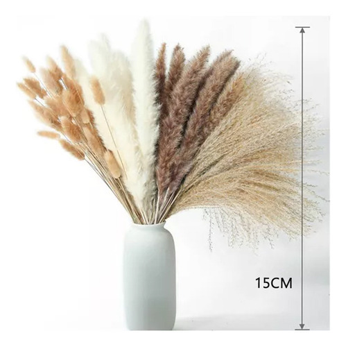110 Unidades De Capim-pampas Secas Decoração Casamento - Imagem 7